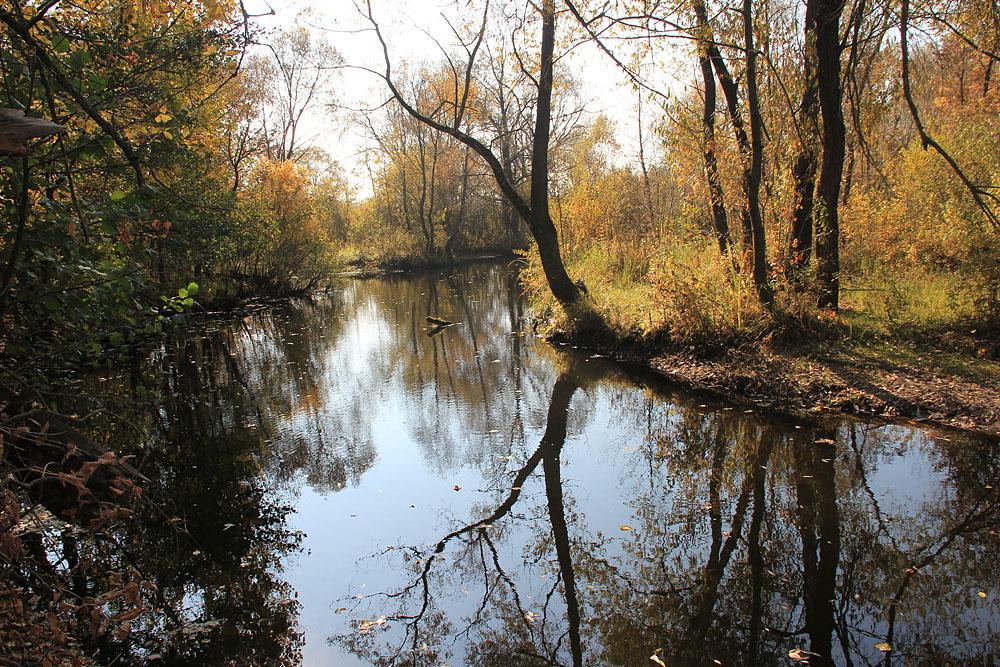 Рудня з panoramio.com - Рудня