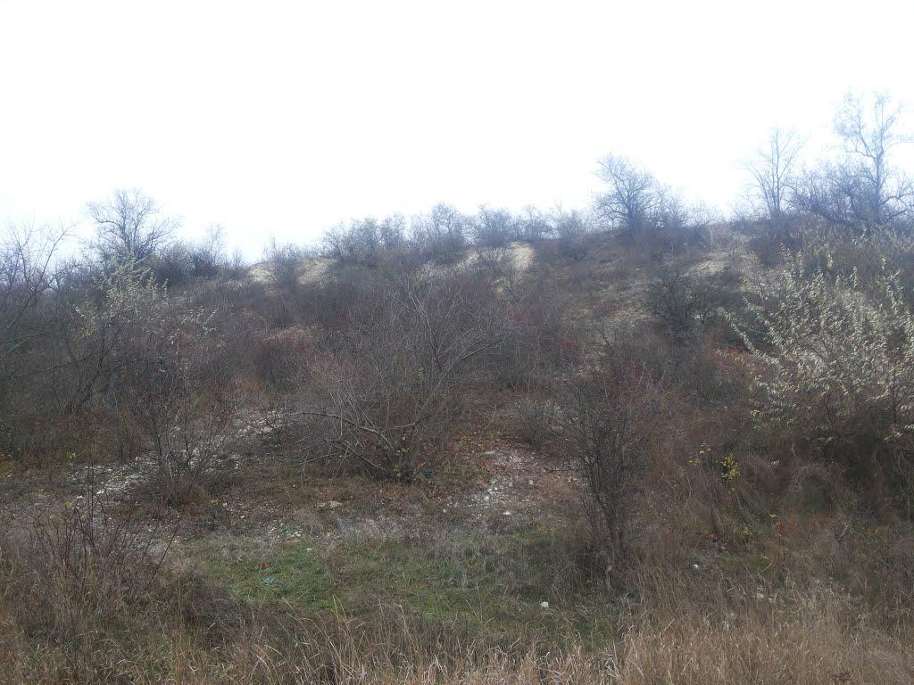 Варюшине з panoramio.com - Варюшине