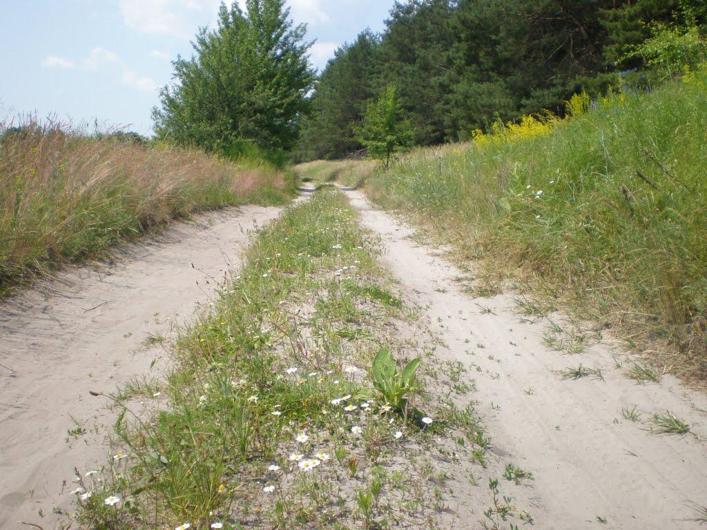 Новоселівка з panoramio.com - Новоселовка