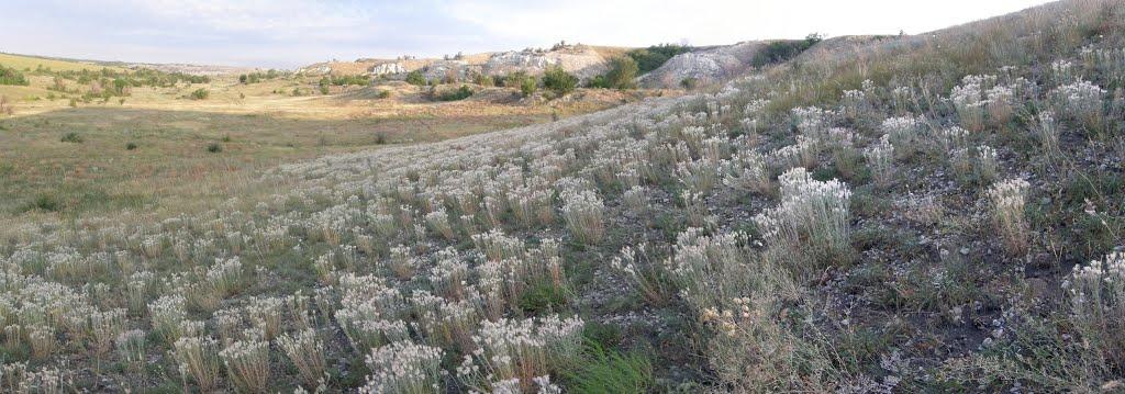 Челюскінець з panoramio.com - Челюскінець