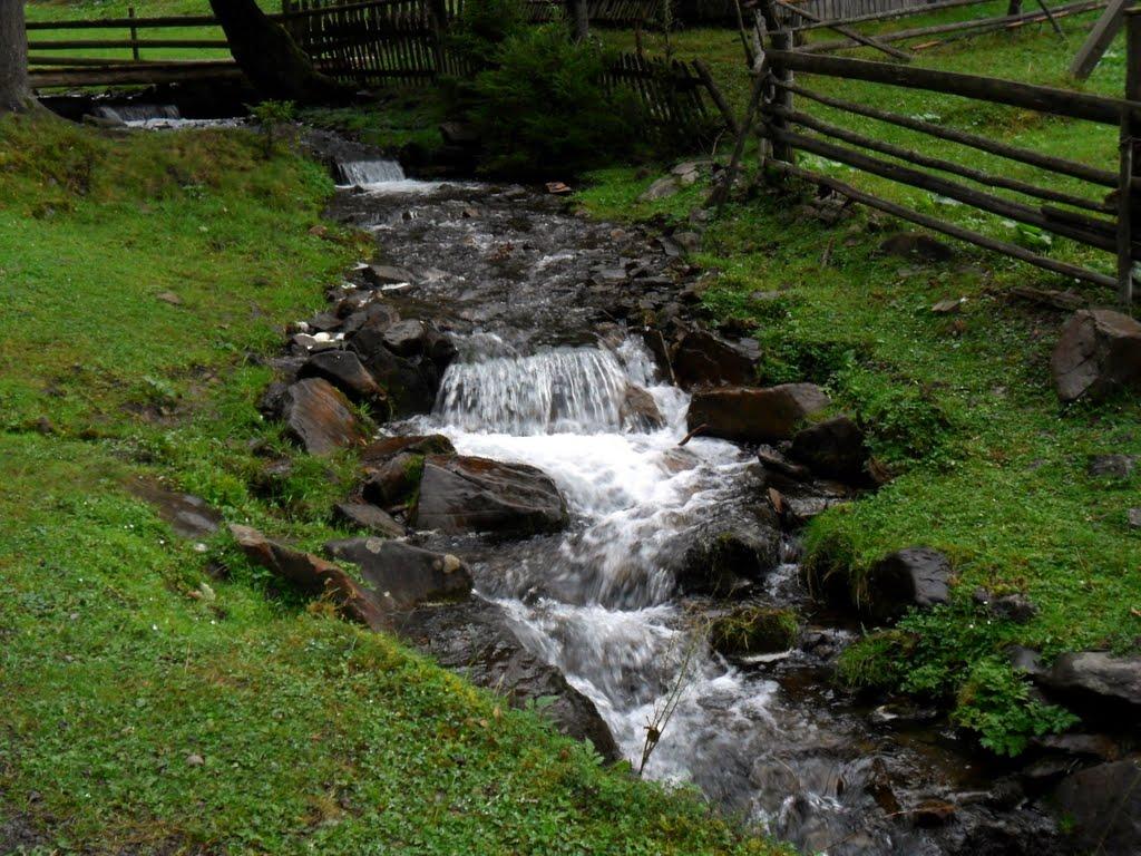 Синевирська Поляна з panoramio.com - Синевирская Поляна