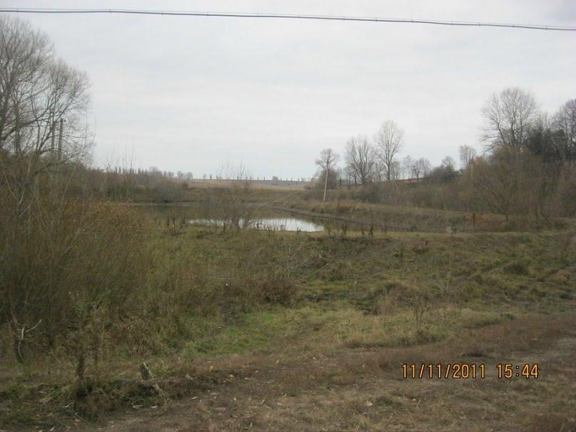 Чапля з panoramio.com - Чапля