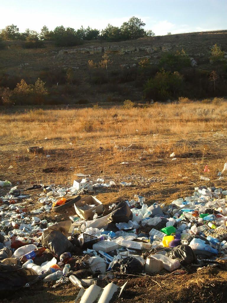 Некрасовка з panoramio.com - Некрасовка