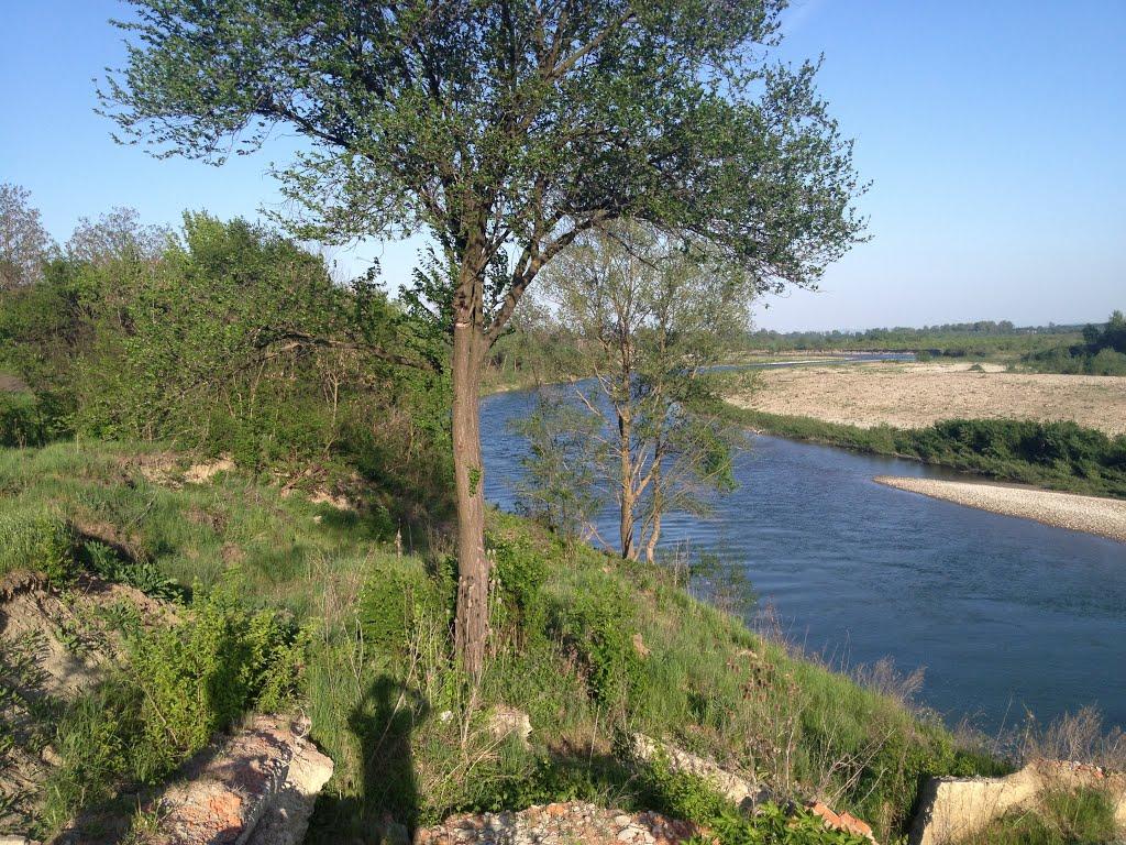 Вовчківці з panoramio.com - Vovchkivtsi