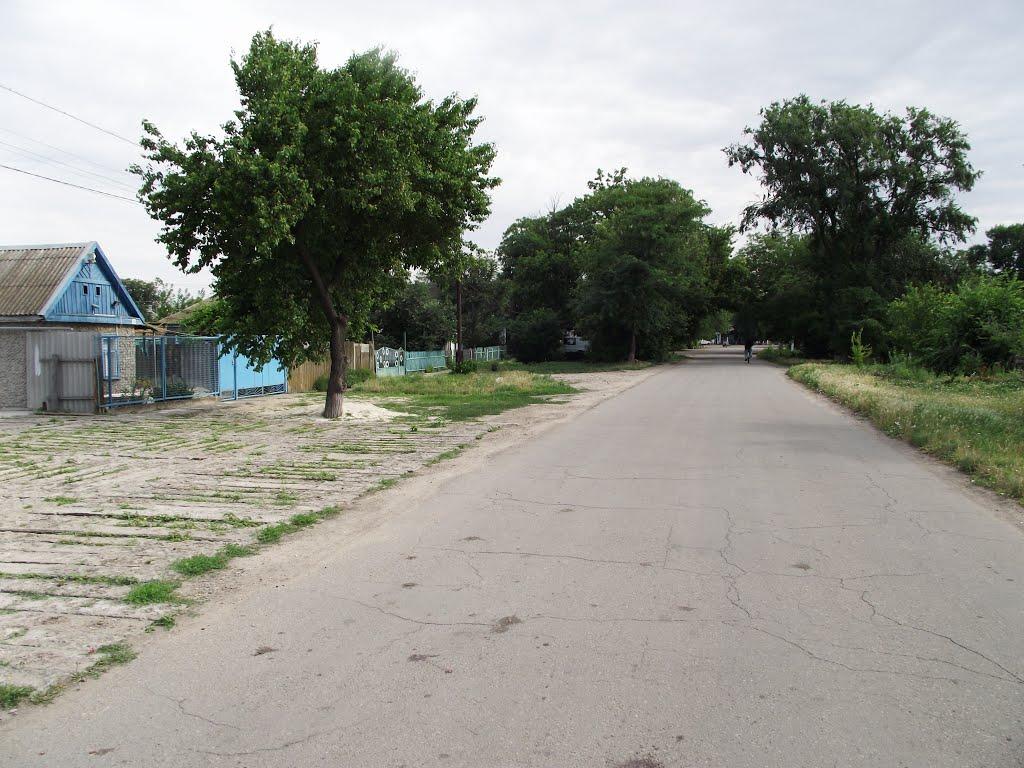 Партизани з panoramio.com - Партизани