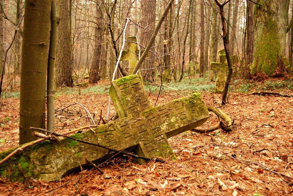 Шаварі з panoramio.com - Шаварі