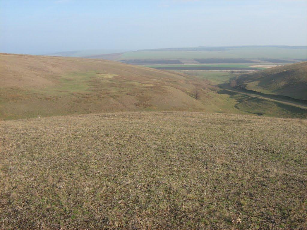 Глюгове з panoramio.com - Глюгове