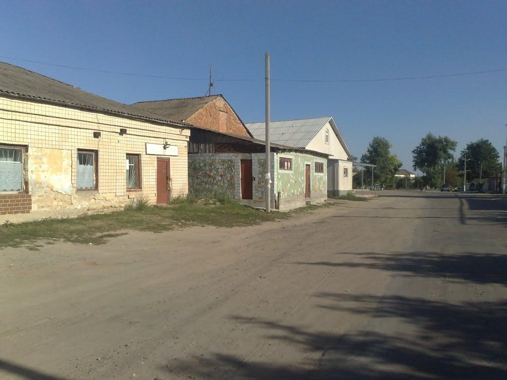 Троїцьке з panoramio.com - Троїцьке