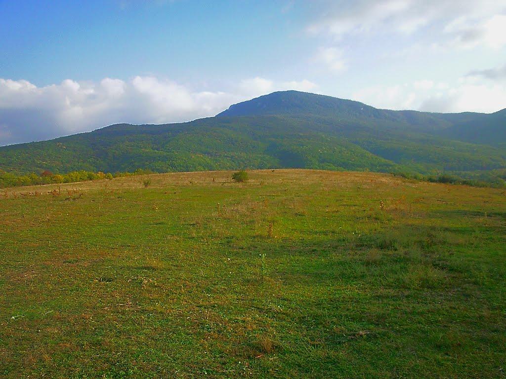 Богатир з panoramio.com - Богатир
