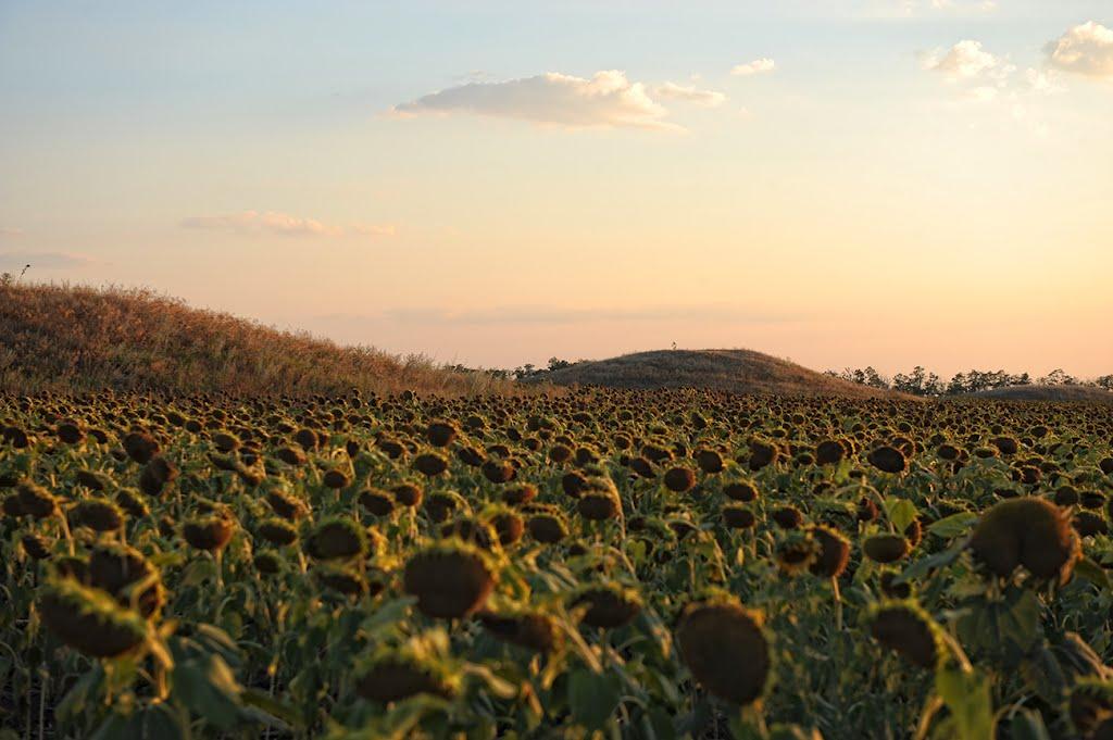 Калайтанівка з panoramio.com - Калайтанівка