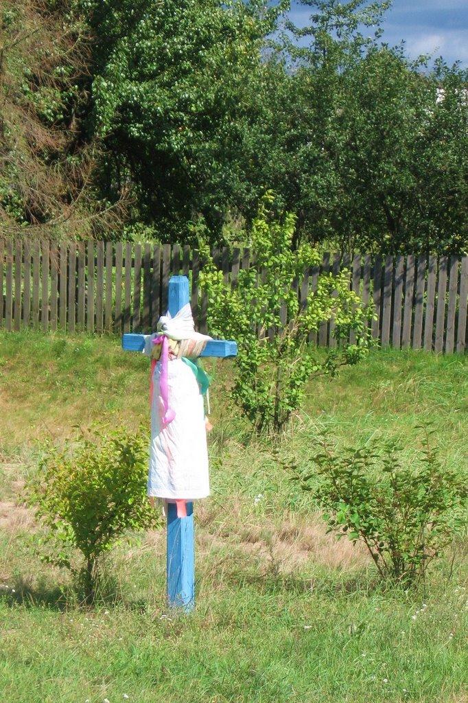 Копище з panoramio.com - Копище