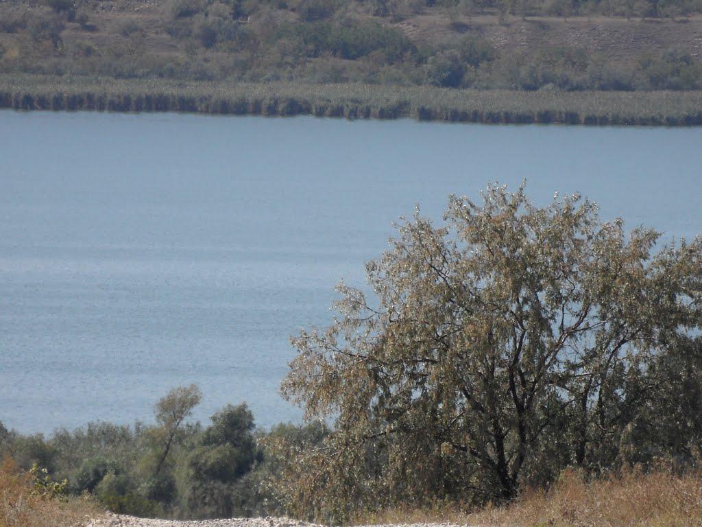 Лиманське з panoramio.com - Лиманське