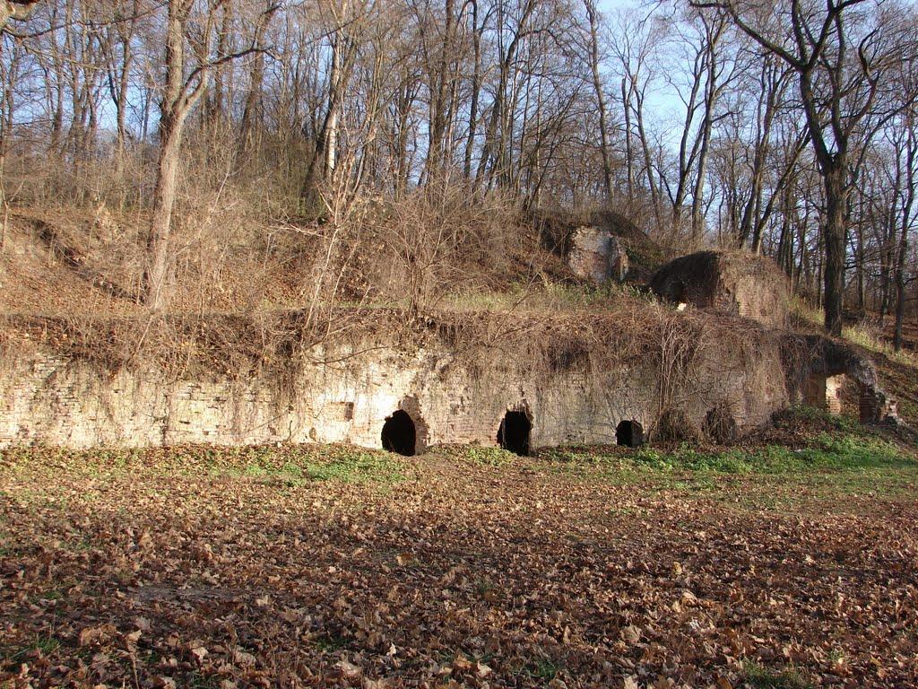 Власівка з panoramio.com - Vlasivka