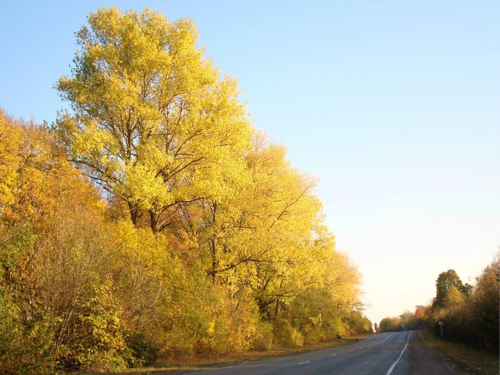 Вовківчики з panoramio.com - Вовківчики