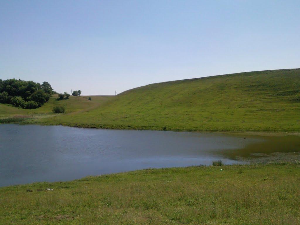 Кропивне з panoramio.com - Крапивное