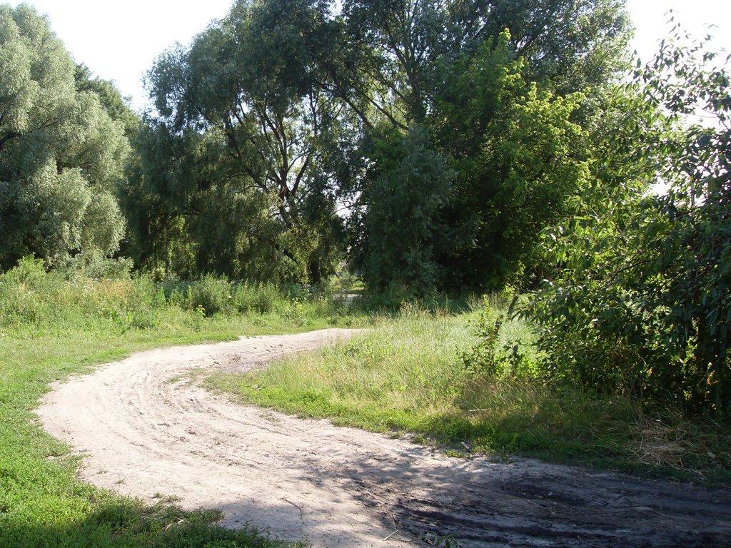 Заворичі з panoramio.com - Заворичи