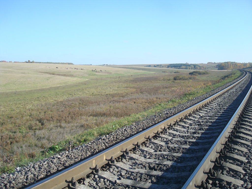 Кадиївка з panoramio.com - Кадиївка