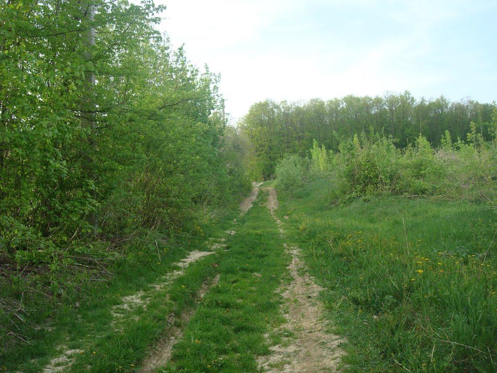 Вільховець з panoramio.com - Ольховец