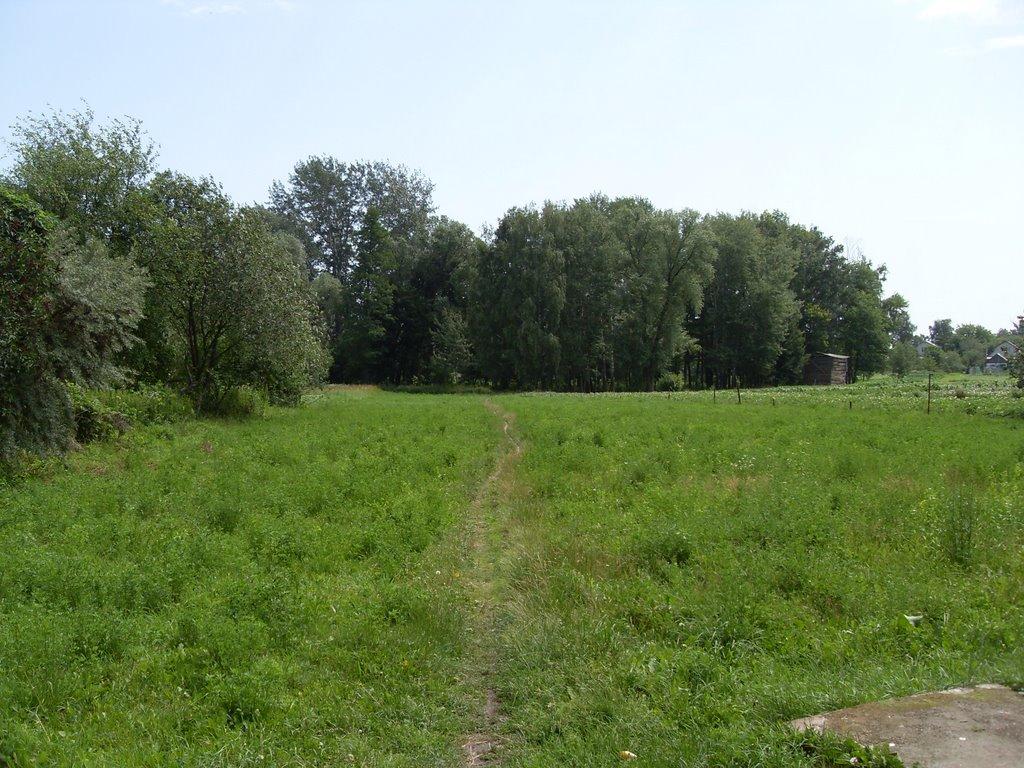 Заворичі з panoramio.com - Zavorychi