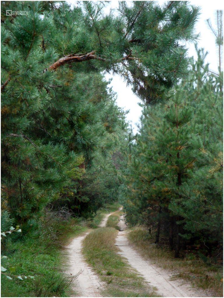 Лучківка з panoramio.com - Лучковка