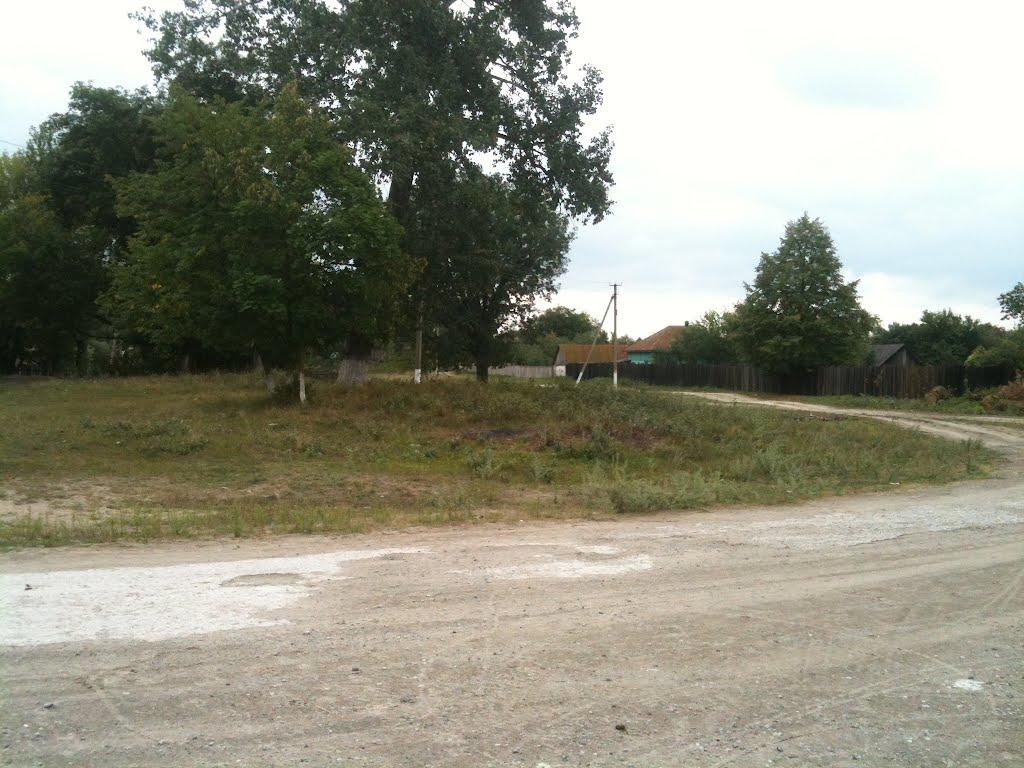 Любитове з panoramio.com - Любитово