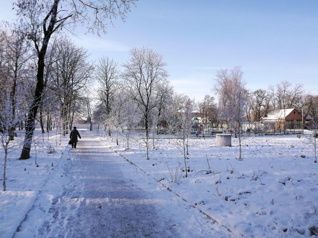 Новомиргород з panoramio.com - Новомиргород