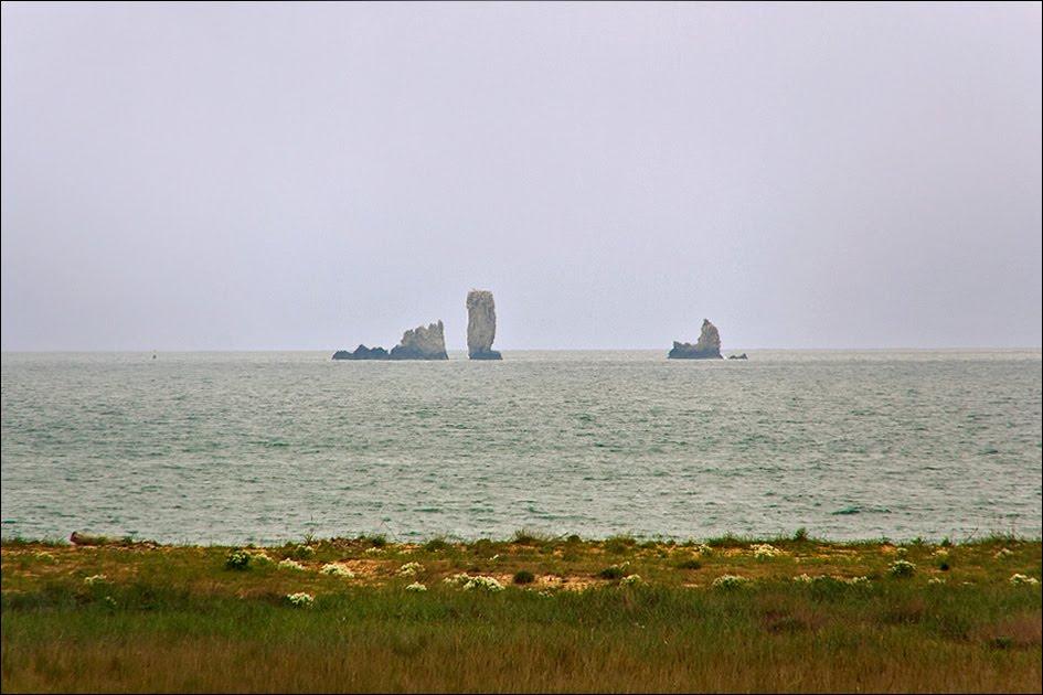 Борисівка з panoramio.com - Борисовка