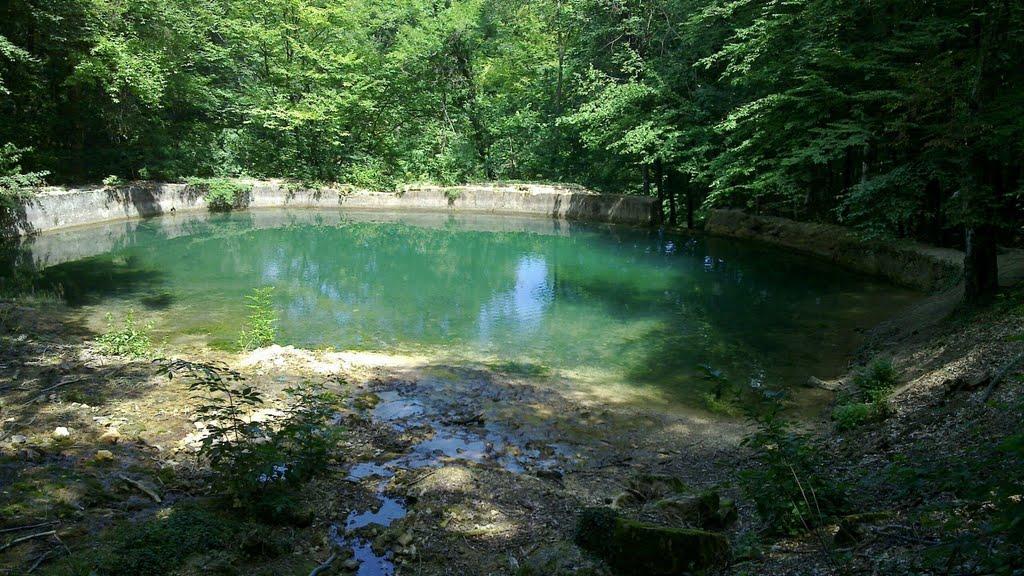 Соколине з panoramio.com (ч.2) - Соколиное