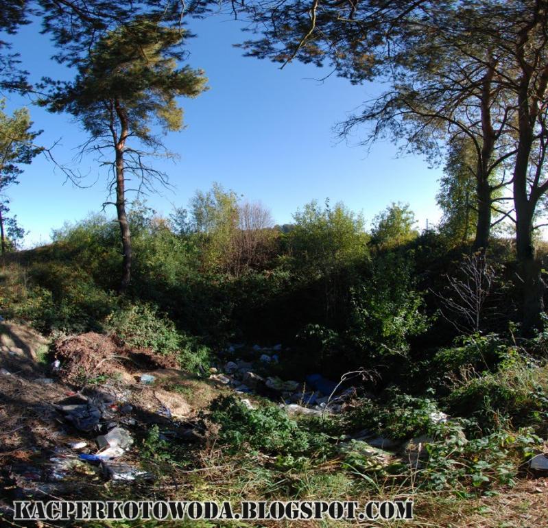 Великі Макари з panoramio.com - Великі Макари