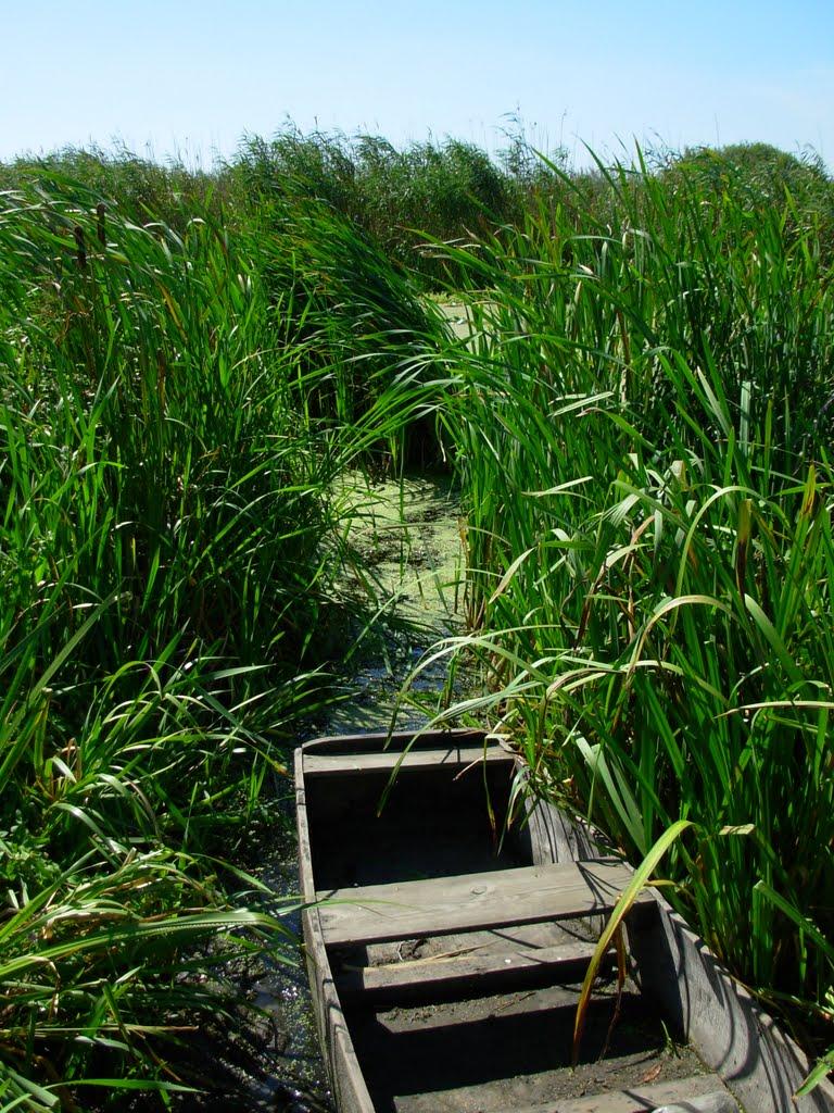 Мерефа з panoramio.com - Мерефа