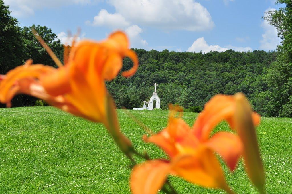 Язловець з panoramio.com - Язловец