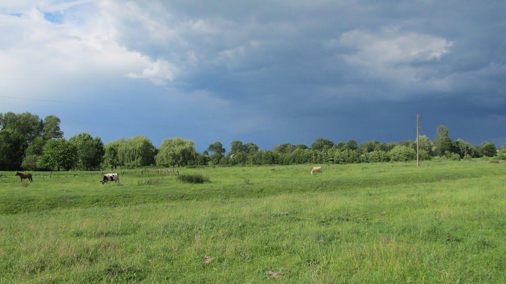 Прикордонна Улашанівка з panoramio.com - Прикордонна Улашанівка