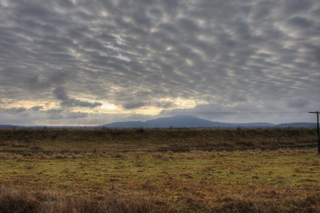 Кам'янське з panoramio.com - Kamyanske