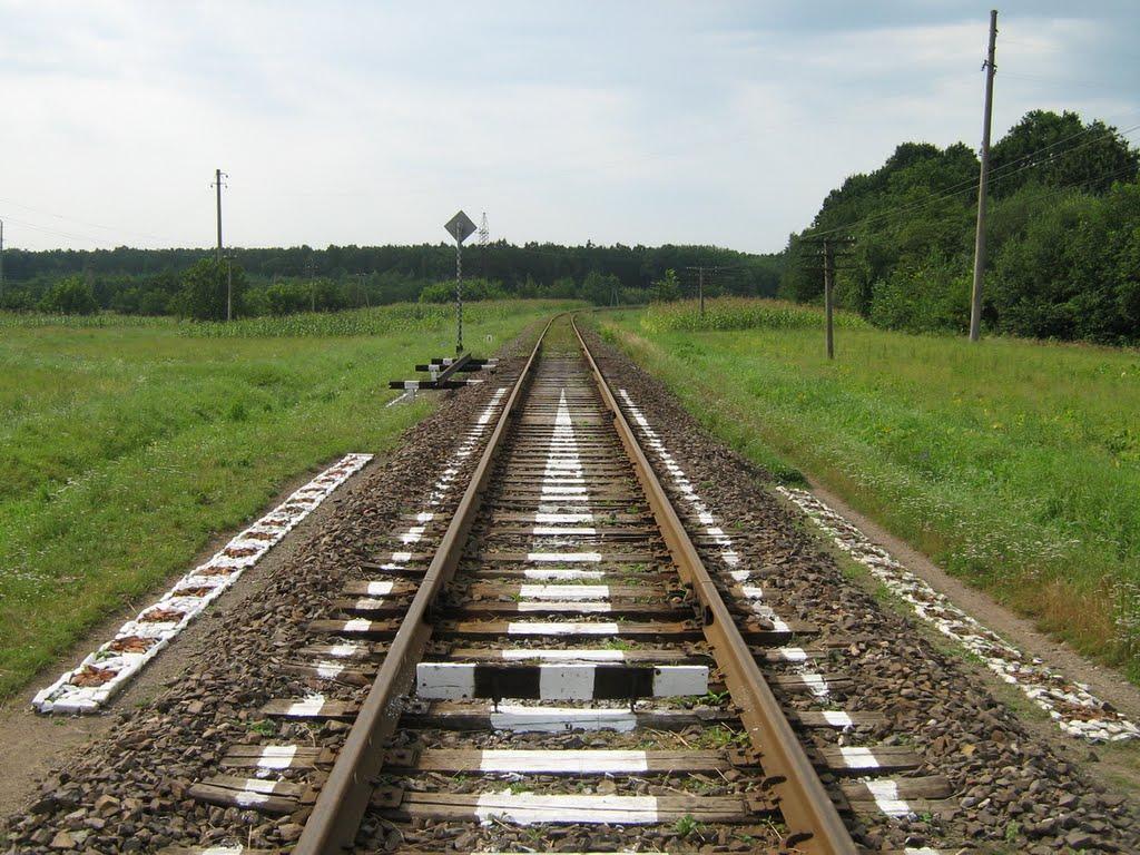 Струмок з panoramio.com - Струмок