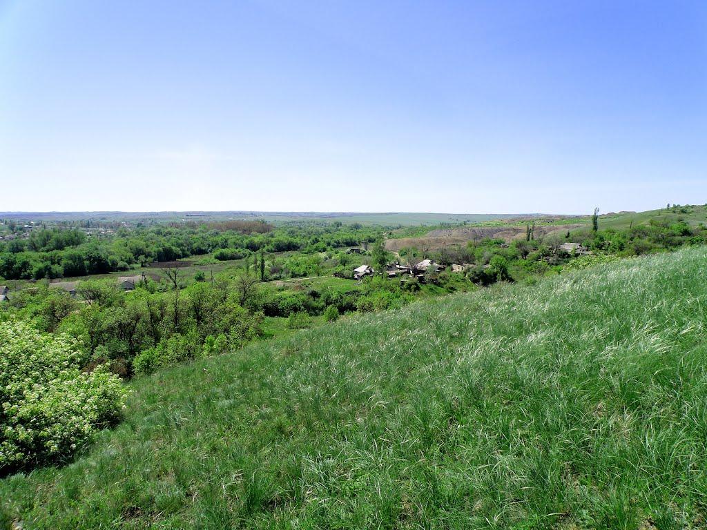 Селезнівка з panoramio.com - Селезневка