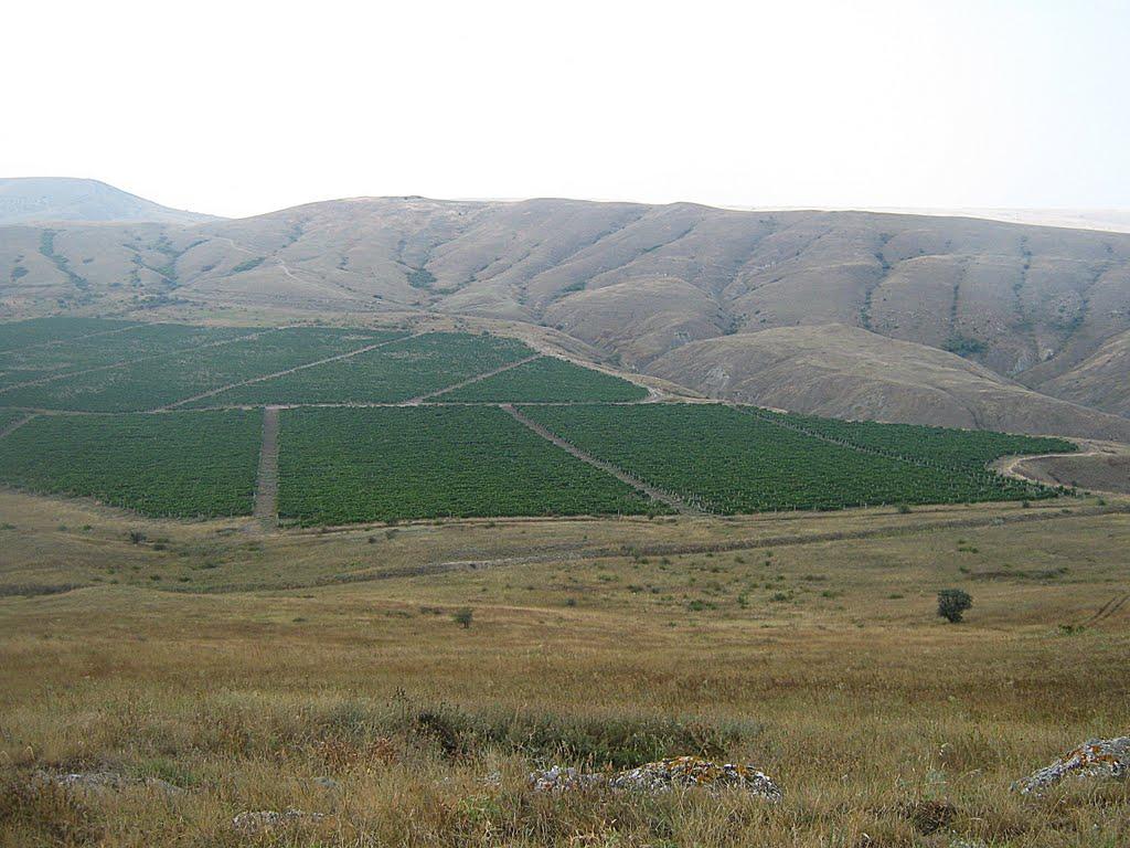 Підгірне з panoramio.com - Підгірне