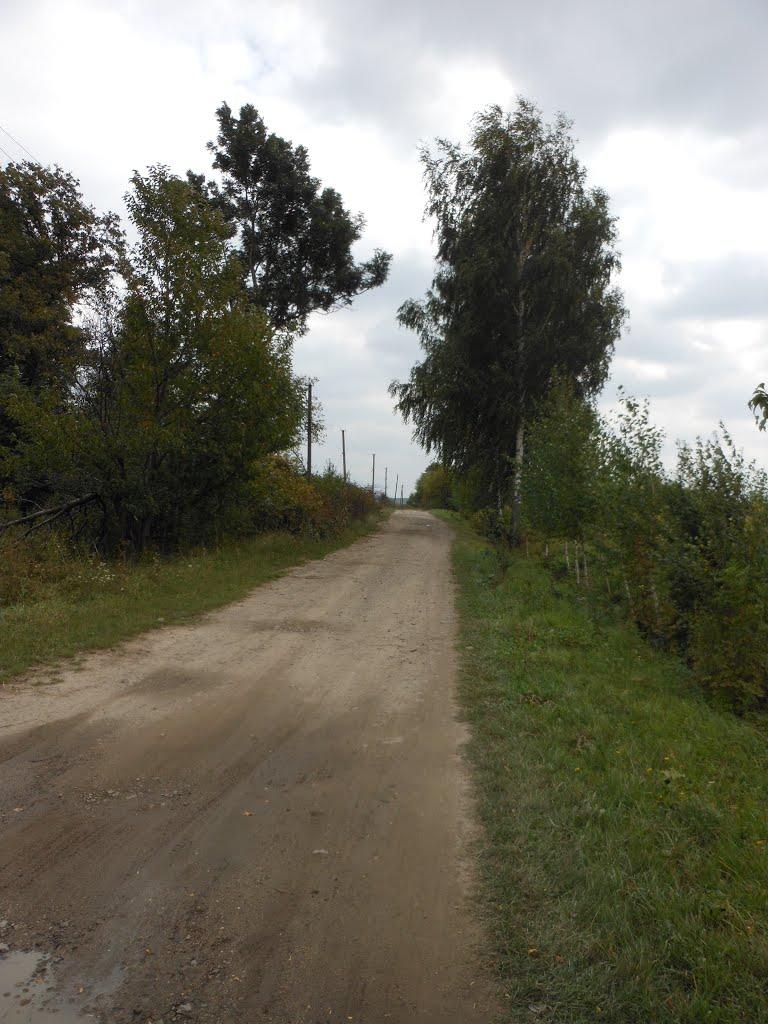 Вовчищовичі з panoramio.com - Вовчищовичі