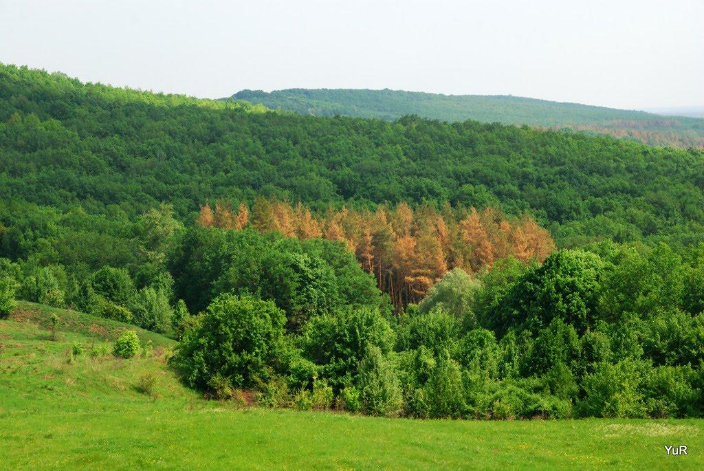 Опішня з panoramio.com - Опішня