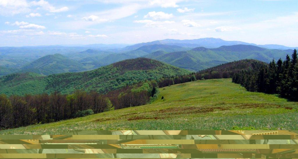 Григорівка з panoramio.com - Grygorivka