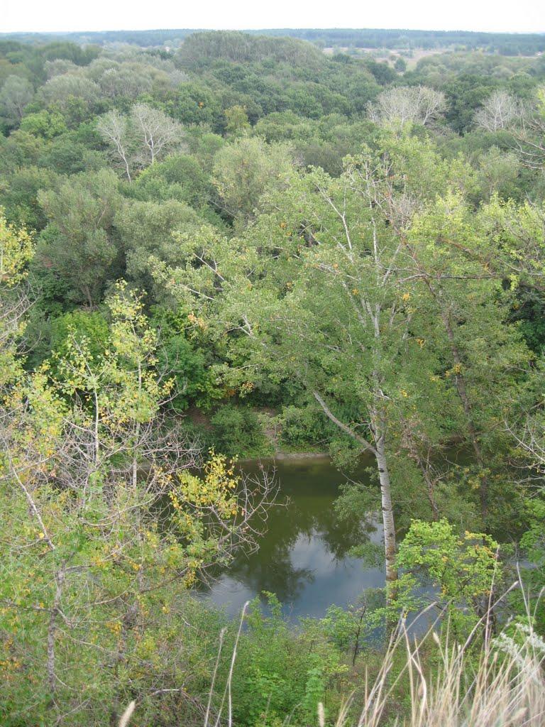 Плавні з panoramio.com - Плавни