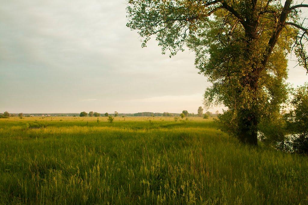 Новосілки з panoramio.com - Новосілки