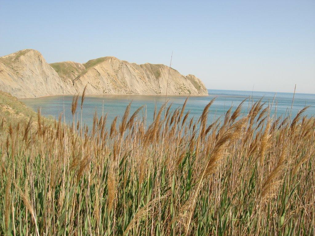 Підгірне з panoramio.com - Підгірне