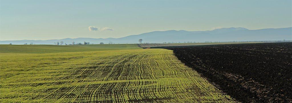 Лохівка з panoramio.com - Лохівка
