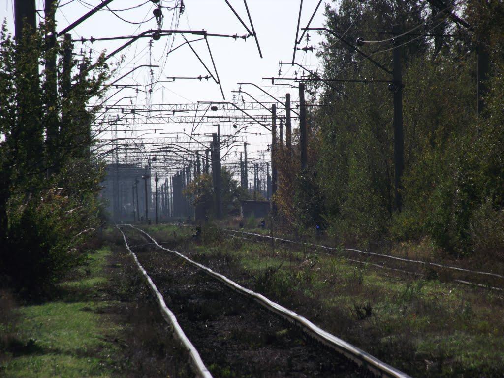 Люлинці з panoramio.com - Люлинцы