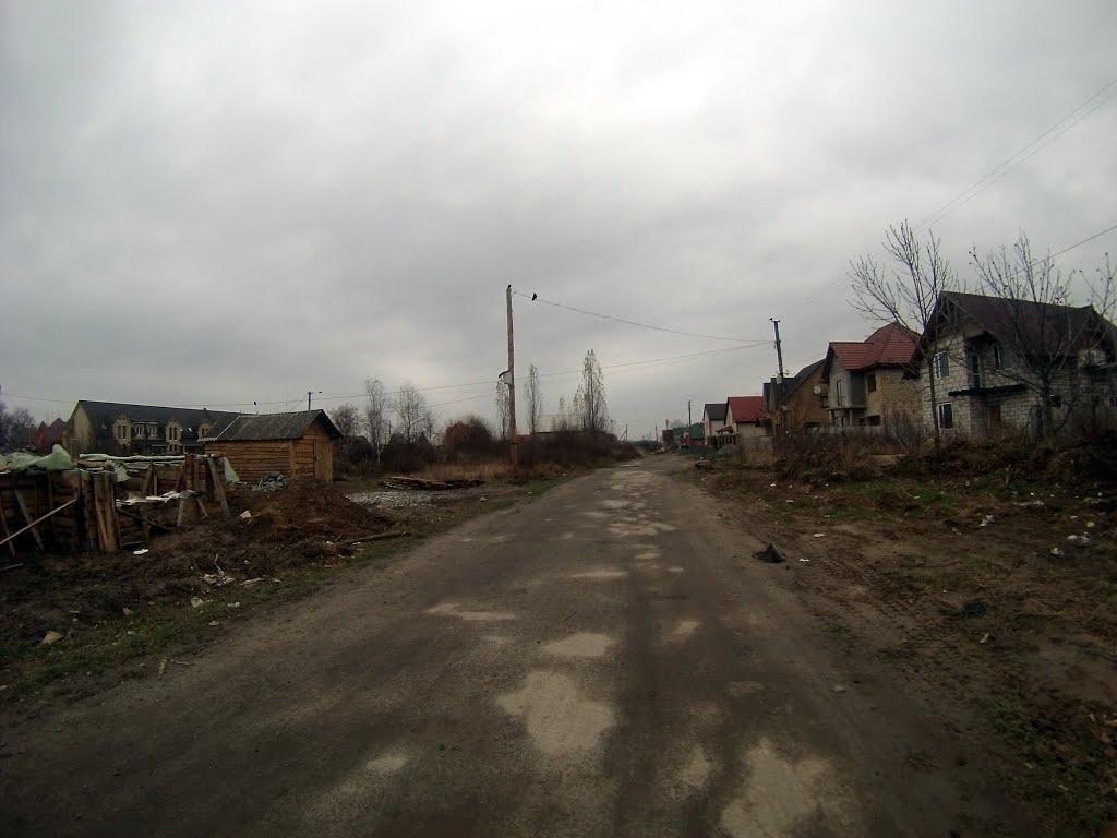 Новоград-Волинський з panoramio.com (ч.3) - Новоград-Волинський
