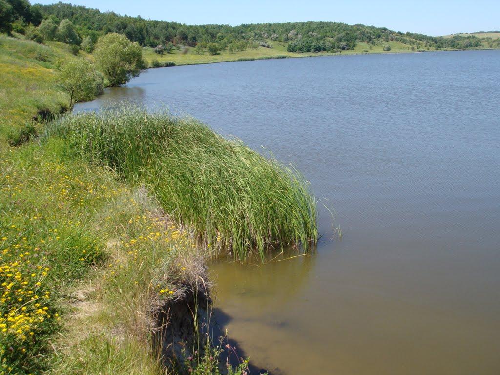 Стариця з panoramio.com