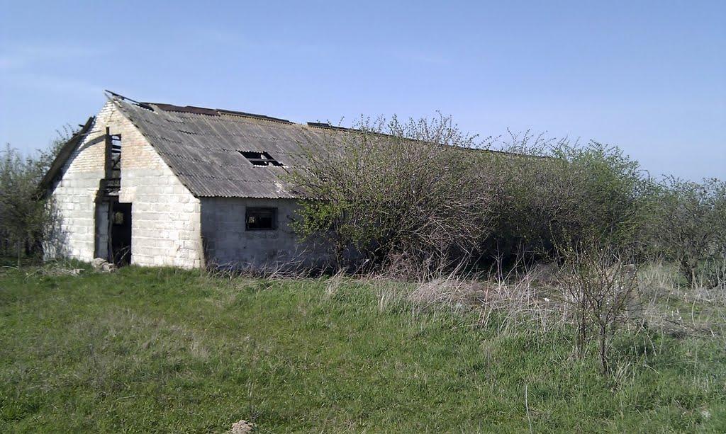 Коршів з panoramio.com - Коршів