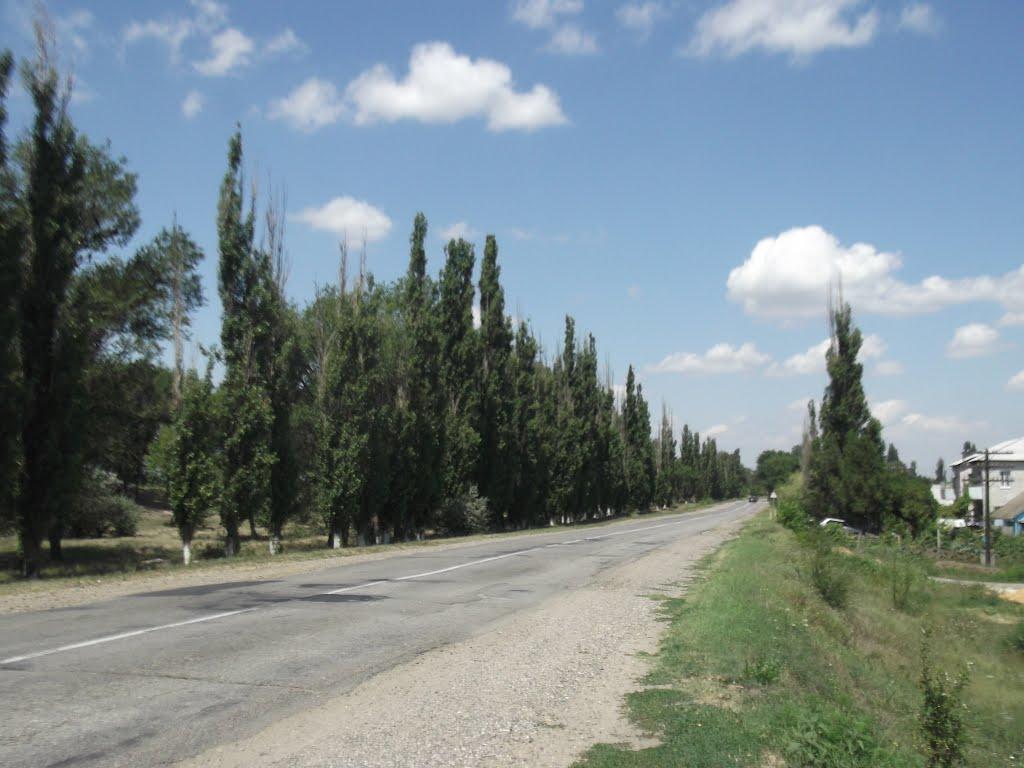 Побєдне з panoramio.com - Побєдне