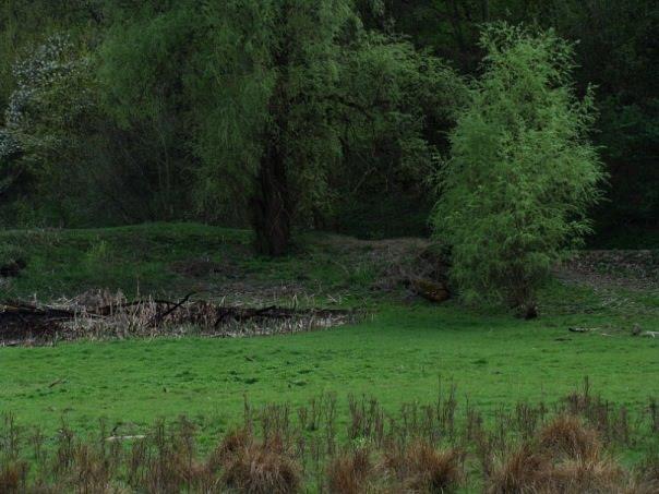 Сегединці з panoramio.com - Сегединці