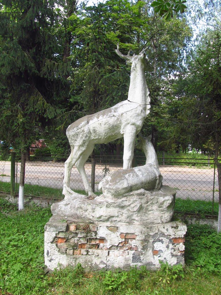 Солотвин з panoramio.com - Солотвин